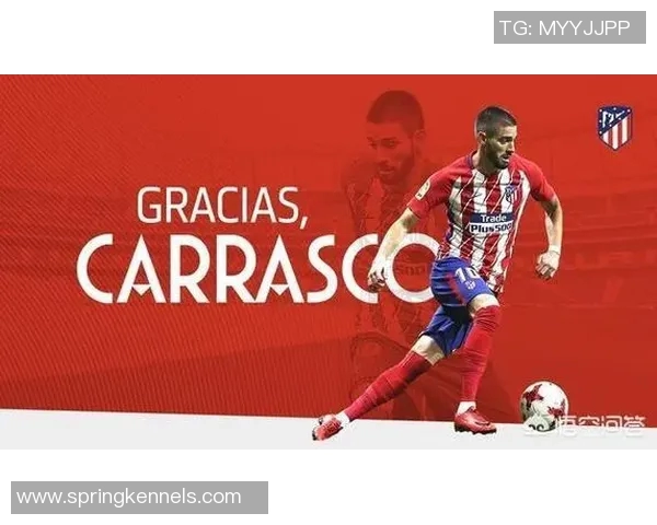 山西足球明星代言价格揭秘及其市场价值分析