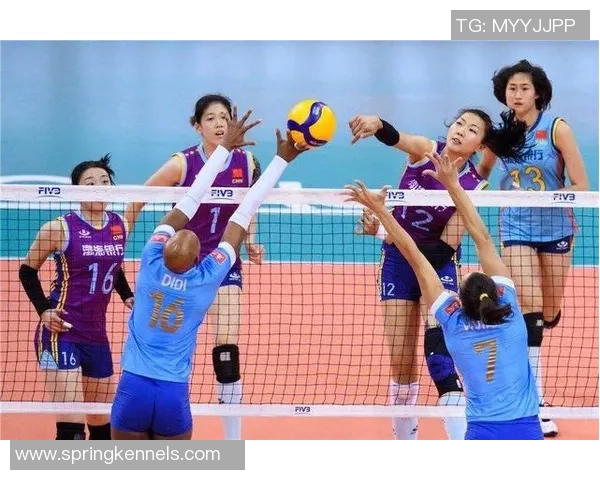 广州排球队在锦标赛中的战术表现分析与总结