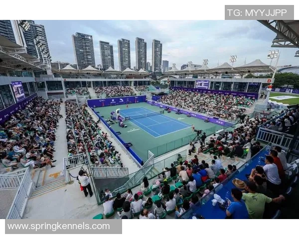 广州网球队在欧锦赛中的精彩表现与状态分析