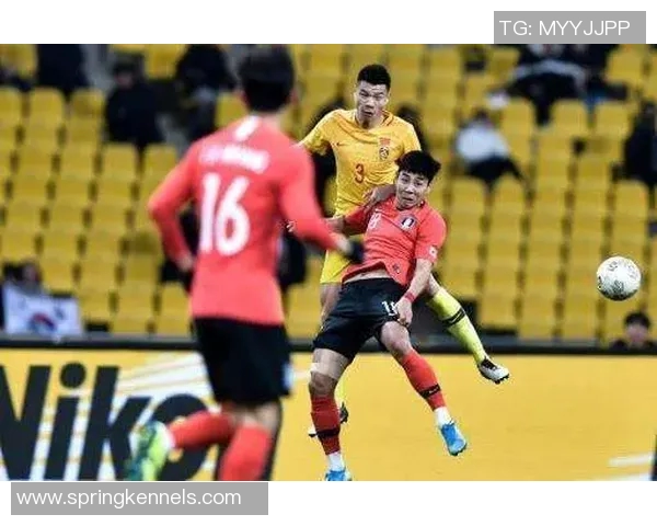 成都与重庆排球队赛后复盘分析团队配合与战术执行的关键因素