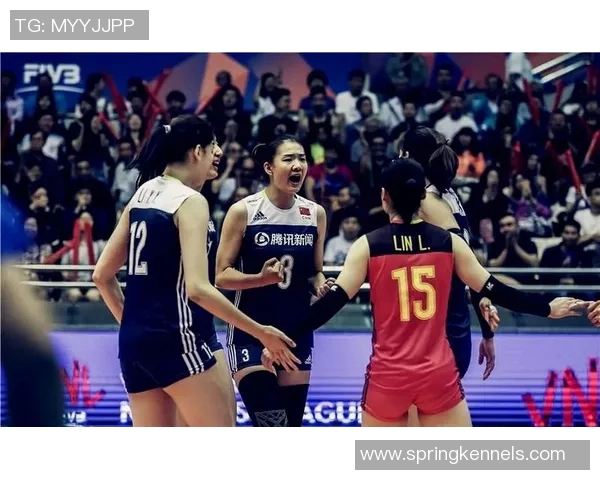 成都排球队防反战术解析:深度剖析排球比赛中的战术运用与团队配合