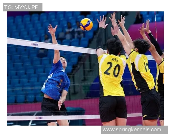 成都排球队在全国排球战术排行榜中荣登第八位展现强劲实力与潜力