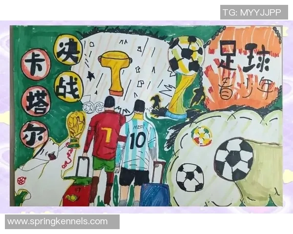 探索足球明星的最佳途径与资源分享，让你全面了解他们的职业生涯与成就