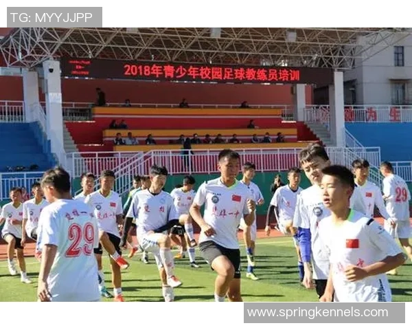 武汉足球之星崛起记：从校园到职业赛场的辉煌历程