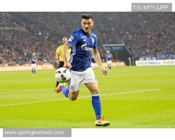 波斯尼亚足球明星的辉煌历程与对世界足球的影响探讨