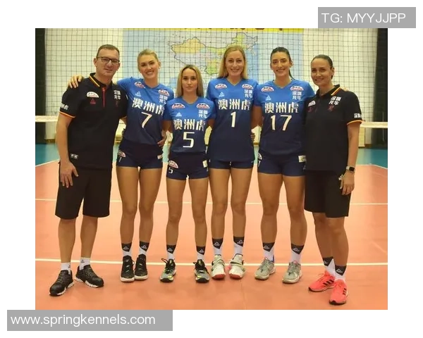 深圳排球队展现速度优势引领联赛新风潮分析与点评