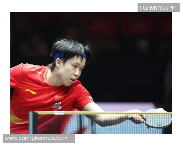 世界杯预选赛点评：重庆乒乓球队的状态表现