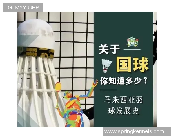 从零开始：羽毛球状态完全攻略