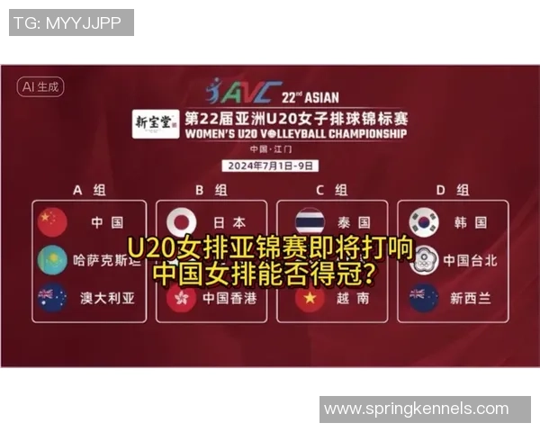 2026排球实力排行榜：广州排球队位居第1名