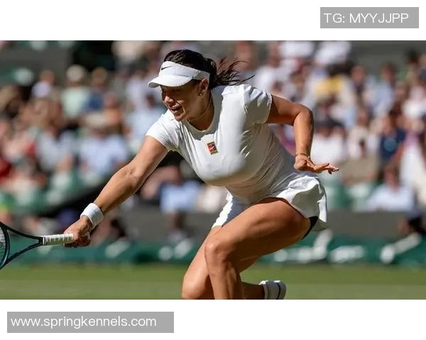 杨丽专访：回顾网球历程