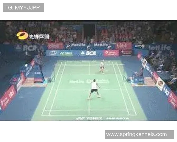 数据分析：北京羽毛球队的战术表现