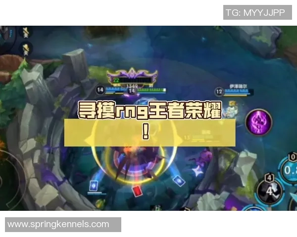 王者荣耀评论：RNG的转换得失