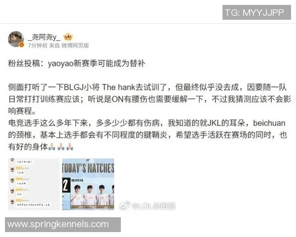 英雄联盟评论：BLG的转换得失