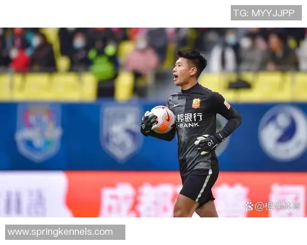 足球纪实：记录武汉足球队的成长故事